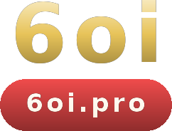 6oi logo